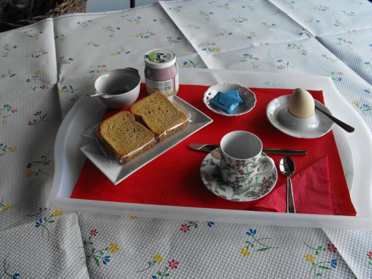 Bed And Breakfast Il Governatore 乌尔比诺 外观 照片