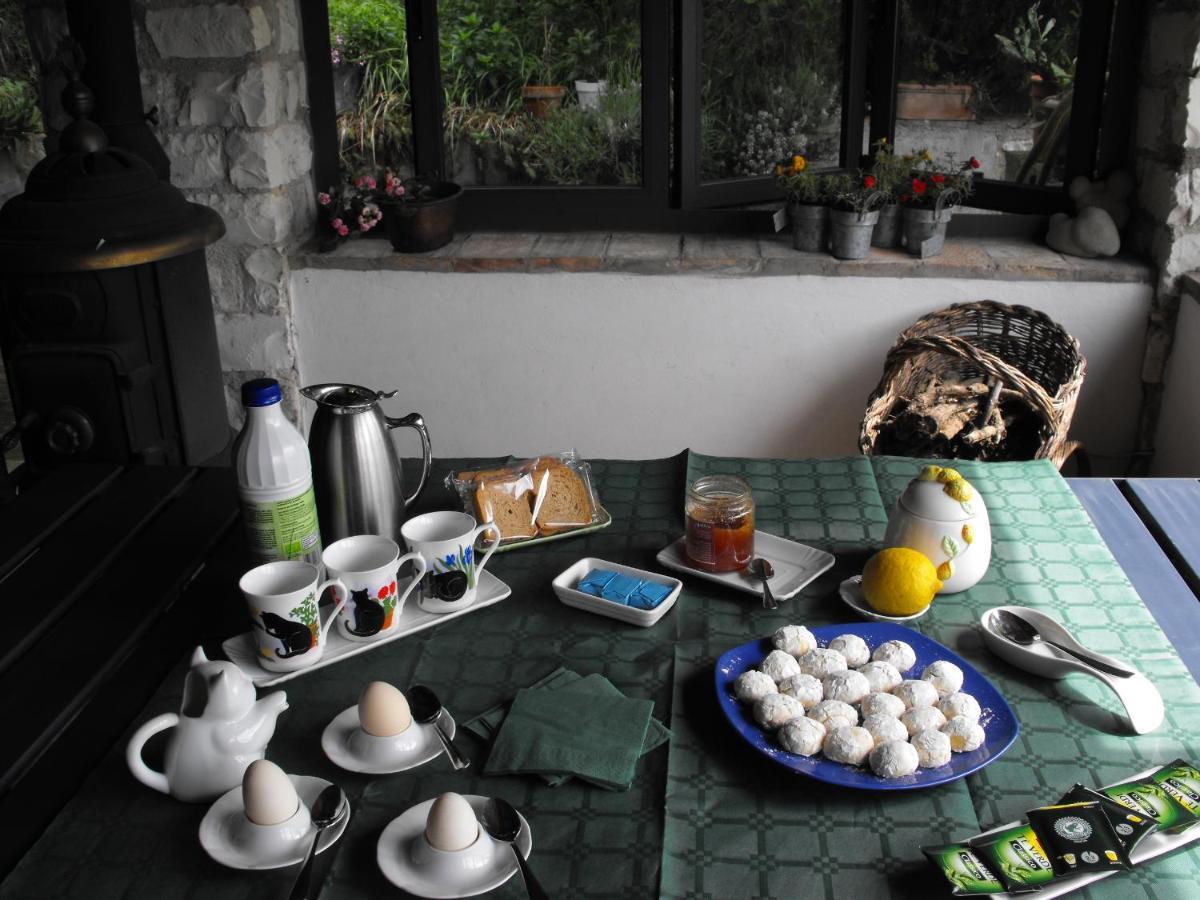 Bed And Breakfast Il Governatore 乌尔比诺 外观 照片