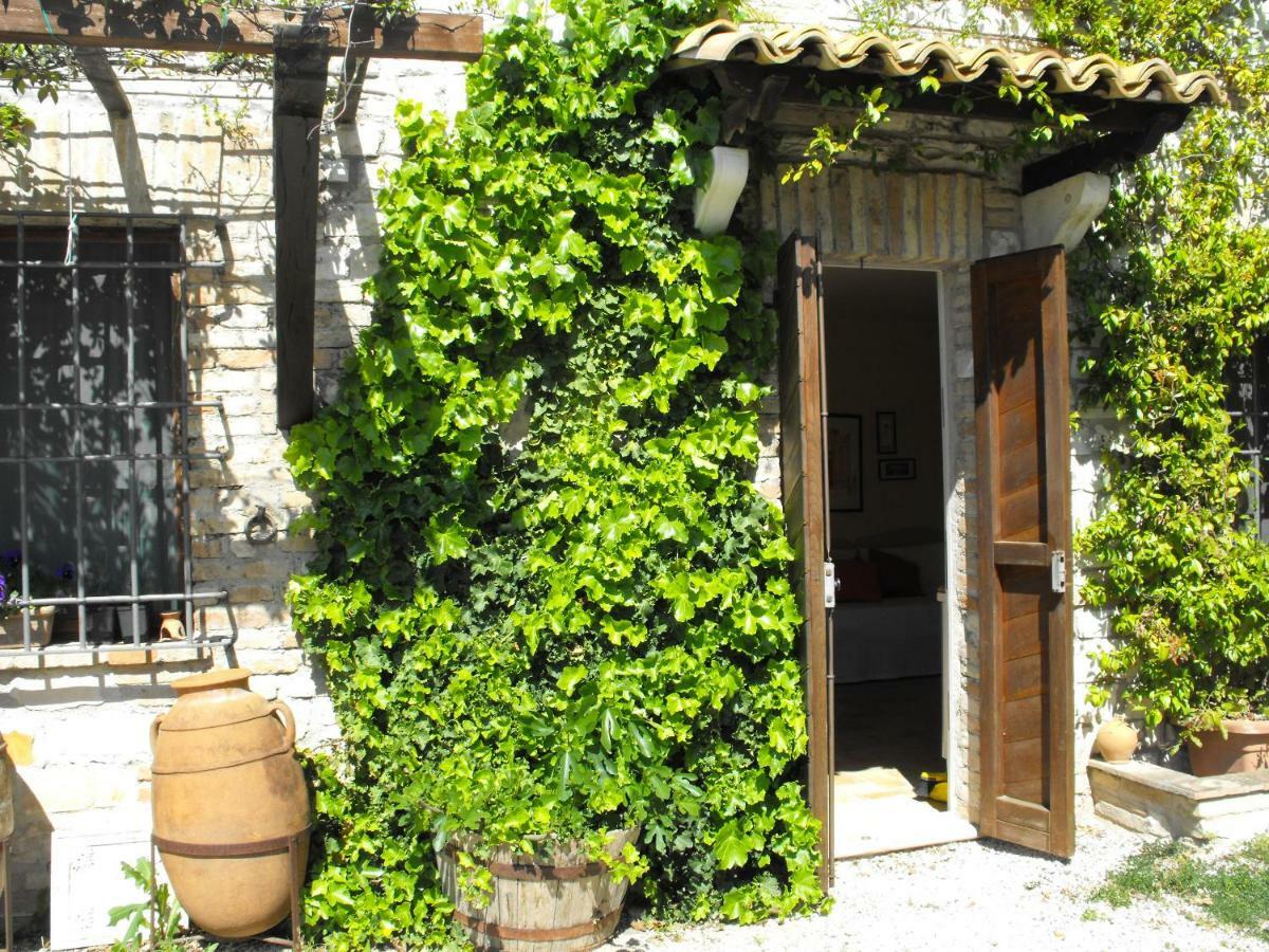 Bed And Breakfast Il Governatore 乌尔比诺 外观 照片